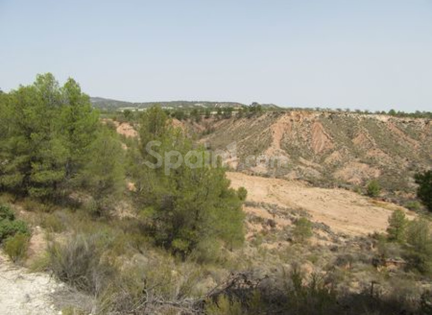 Resale - Handlung -
Murcia