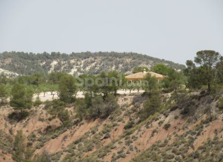 Resale - Handlung -
Murcia