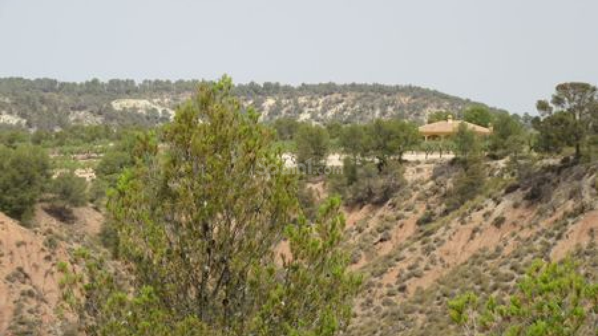 Resale - Handlung -
Murcia