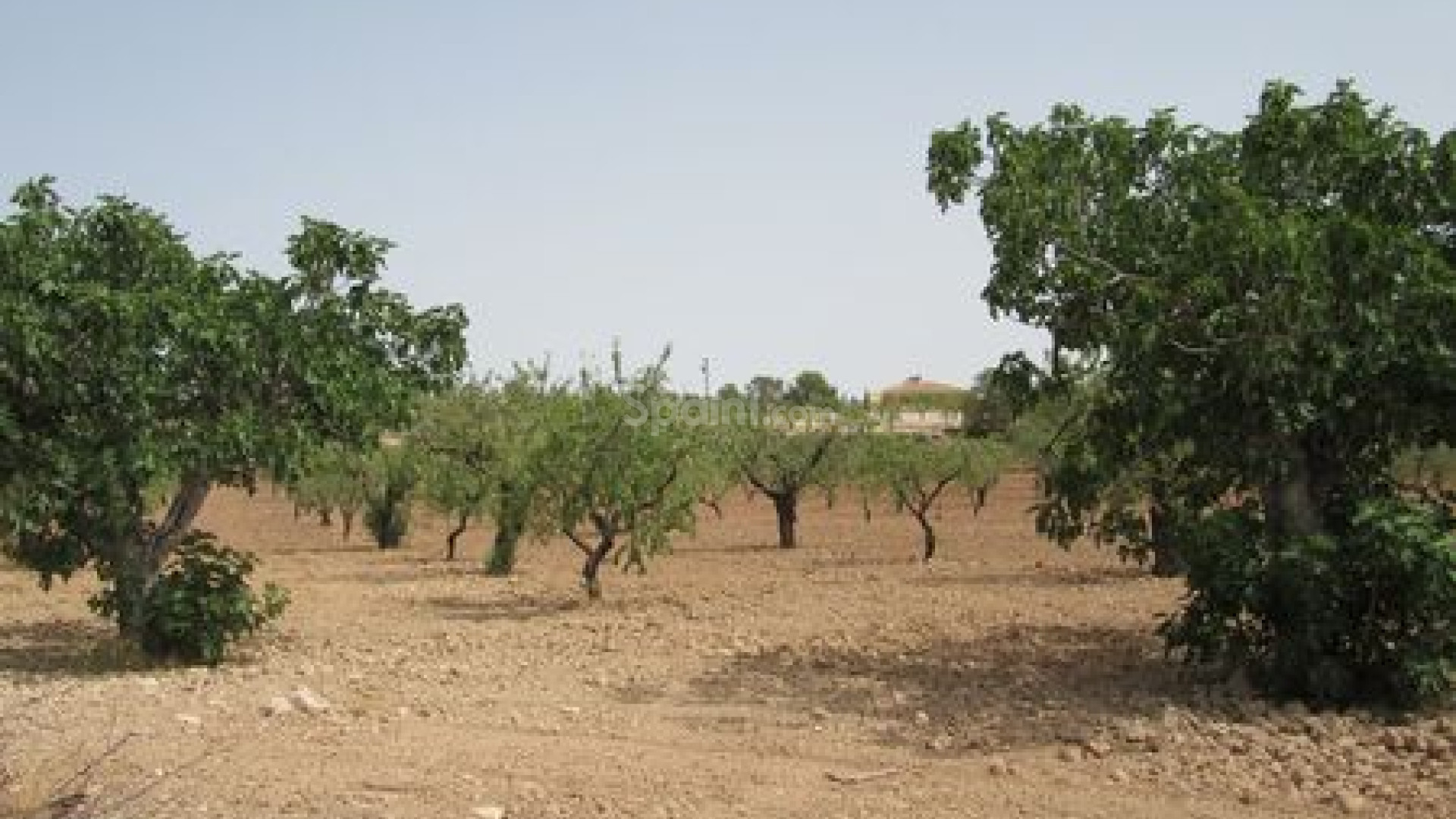 Resale - Handlung -
Murcia