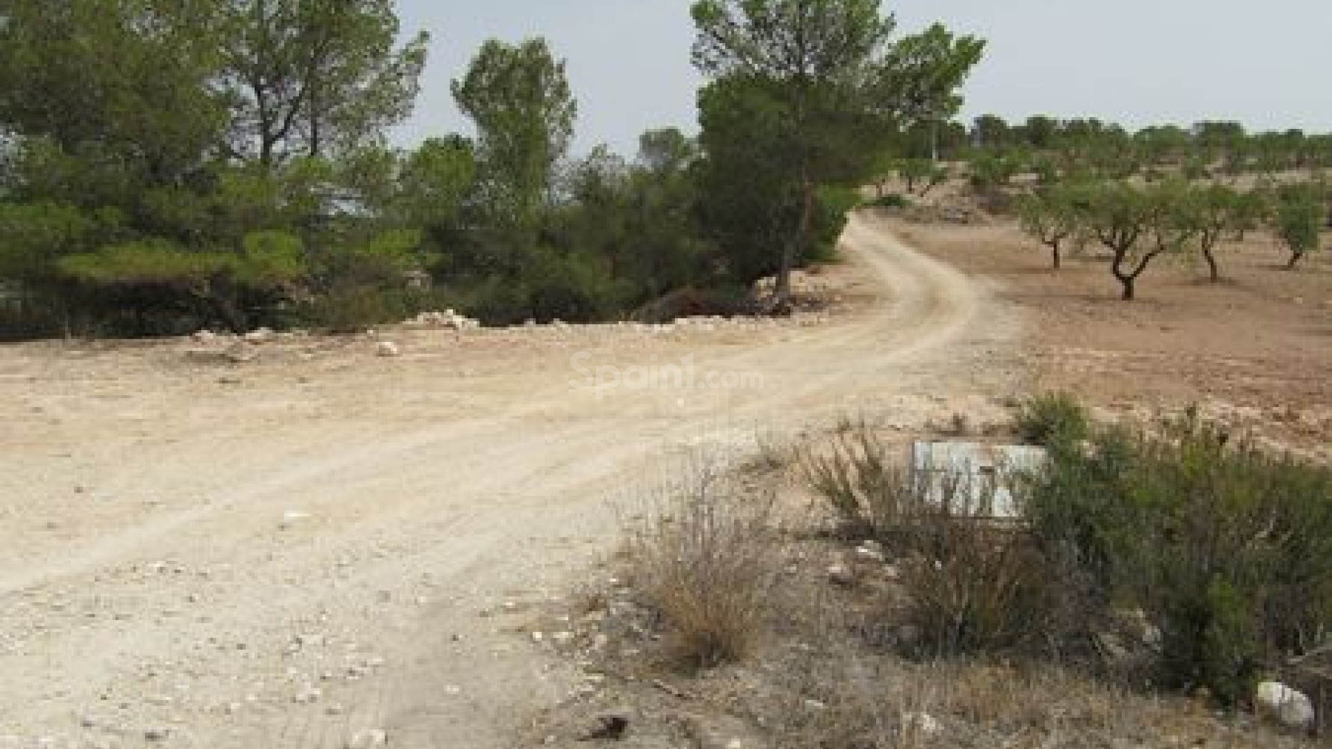 Resale - Handlung -
Murcia