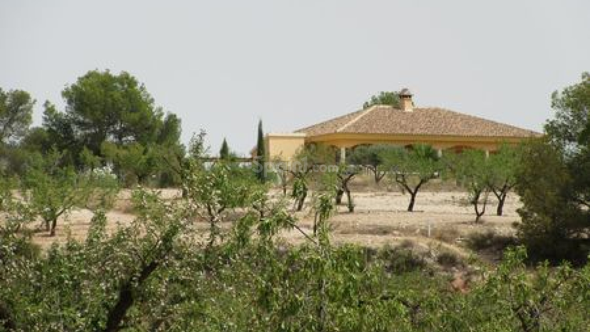 Resale - Handlung -
Murcia