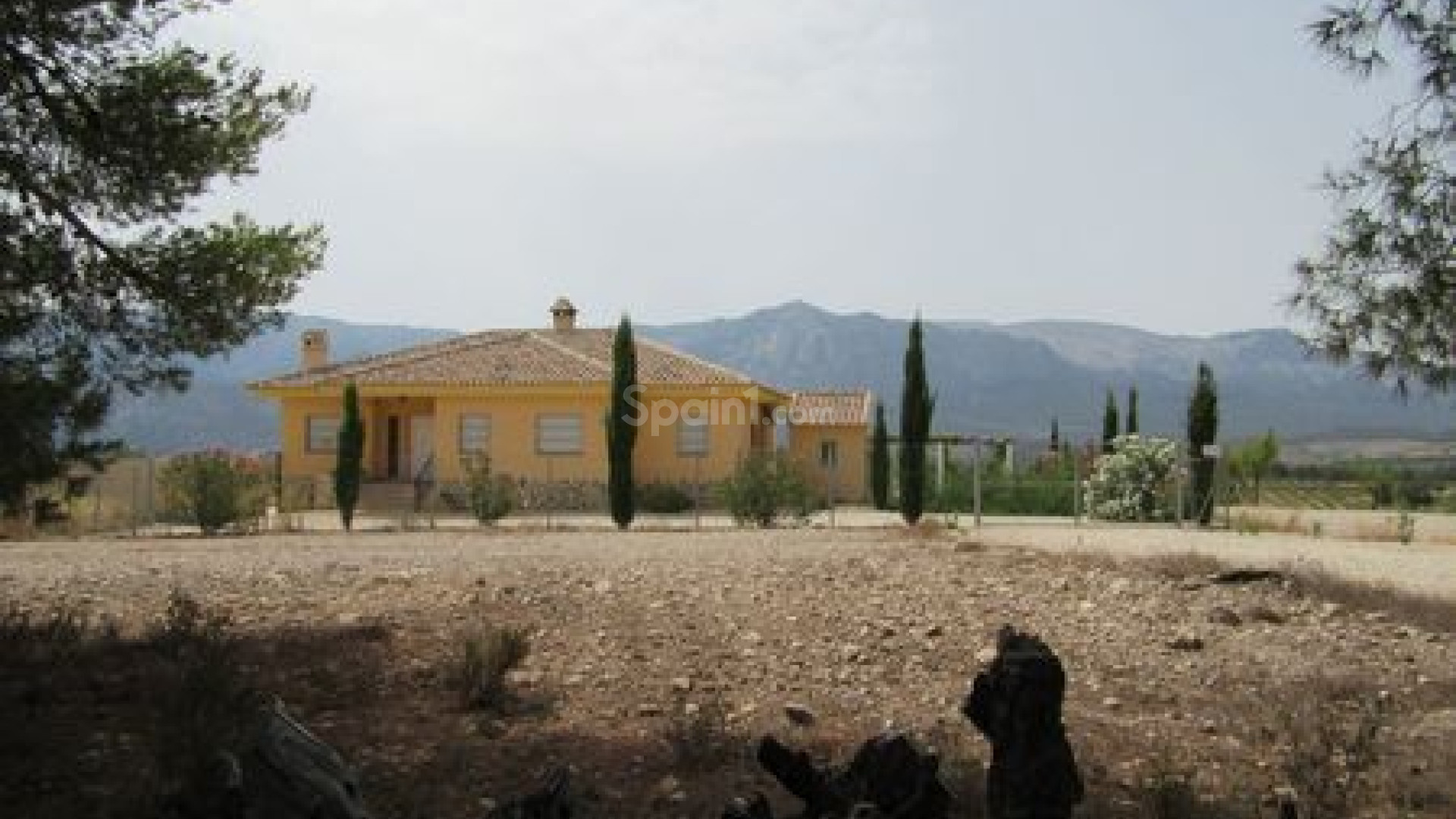 Resale - Handlung -
Murcia