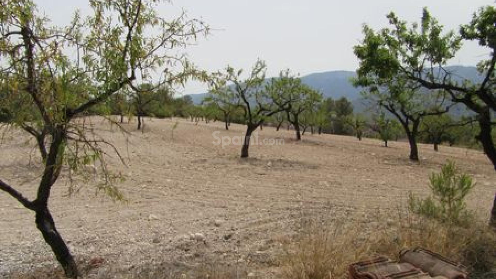 Resale - Handlung -
Murcia