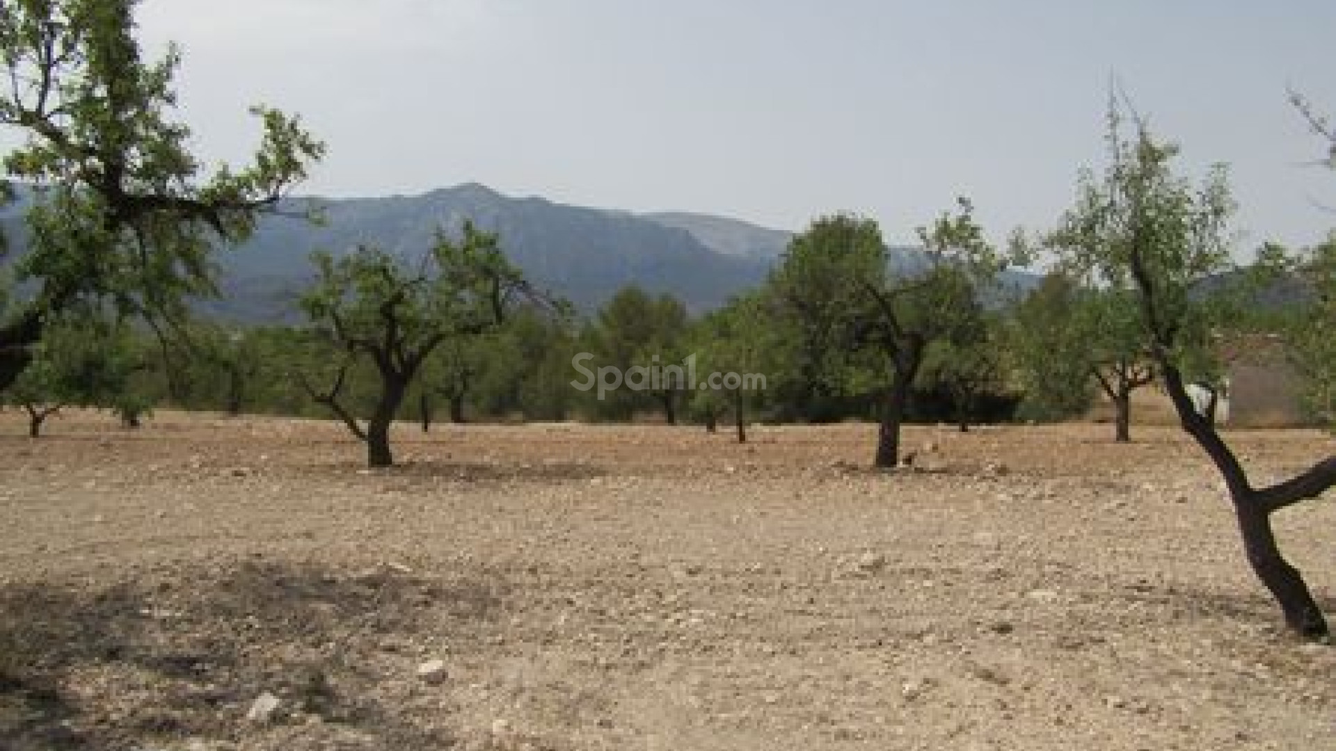 Resale - Handlung -
Murcia
