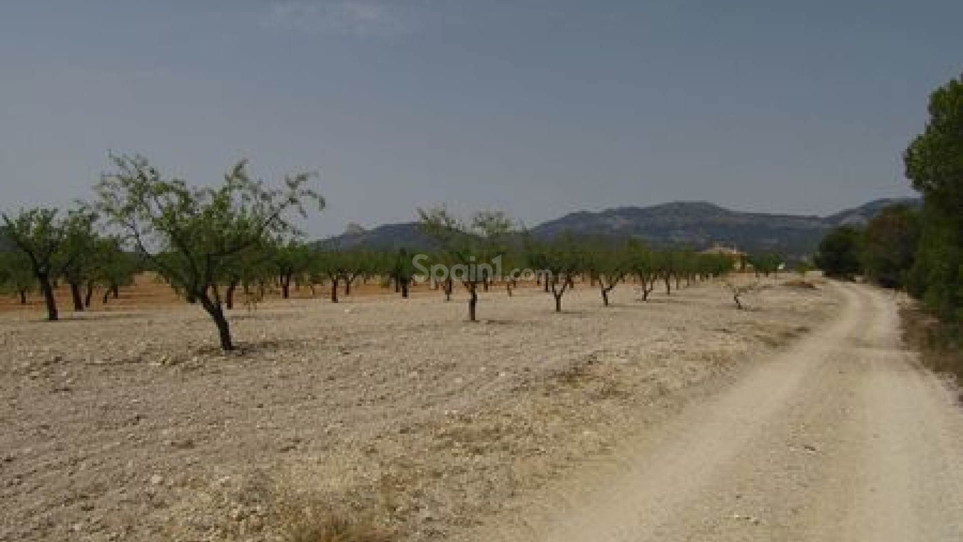 Resale - Handlung -
Murcia