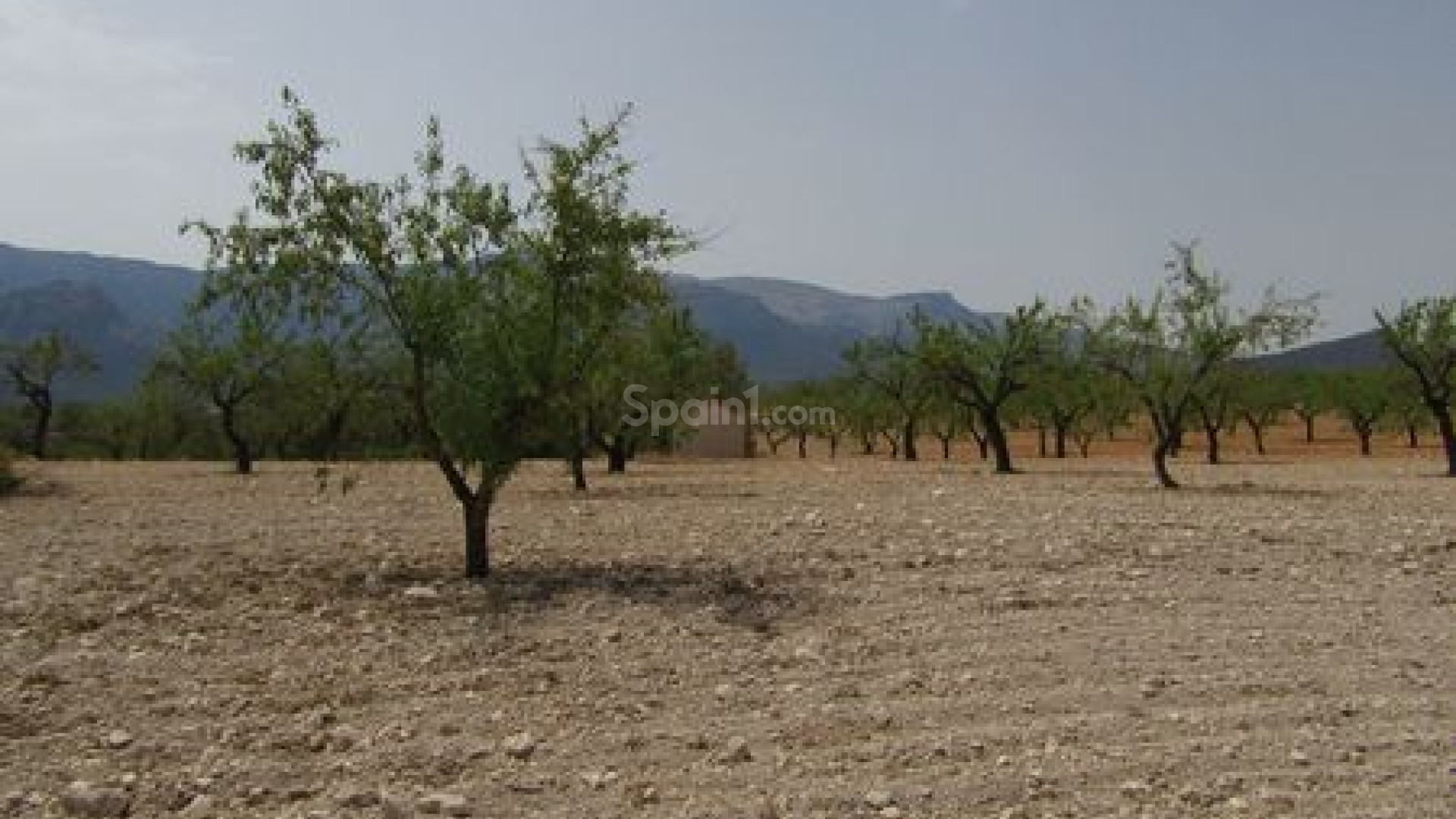 Resale - Handlung -
Murcia