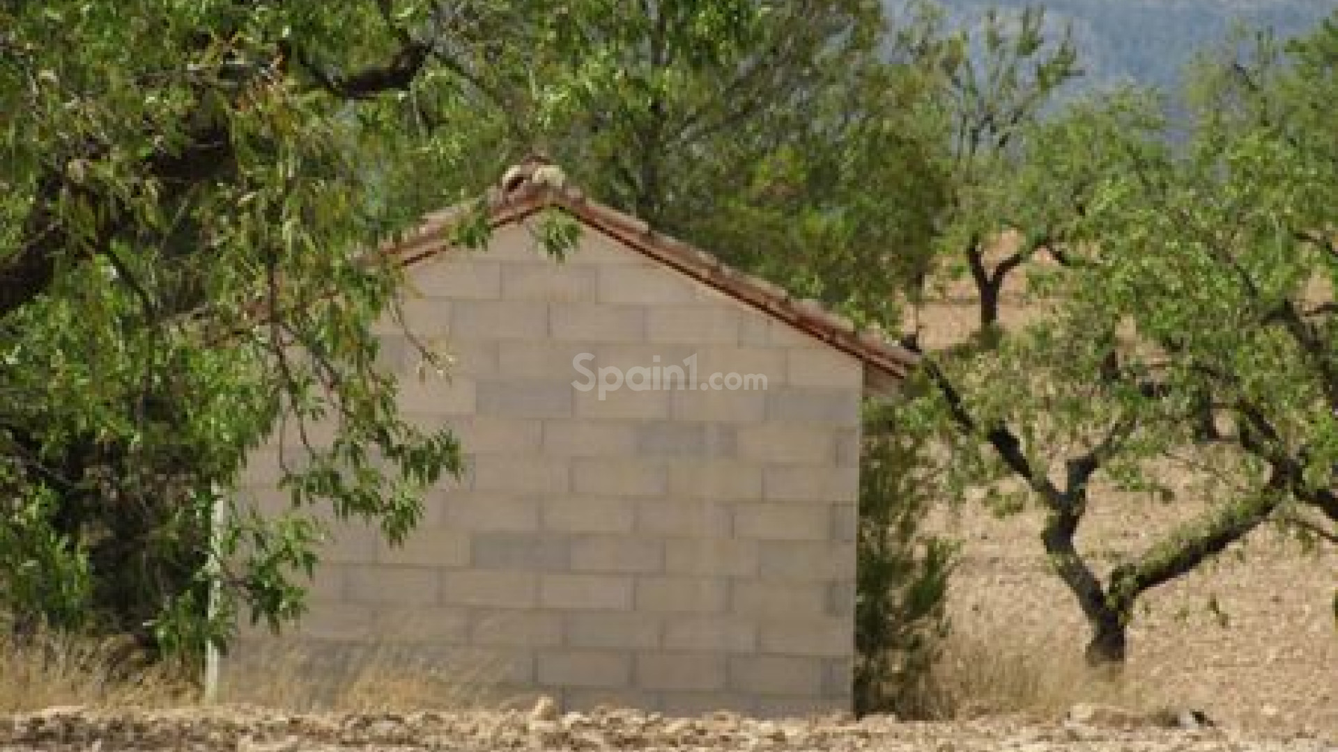 Resale - Handlung -
Murcia