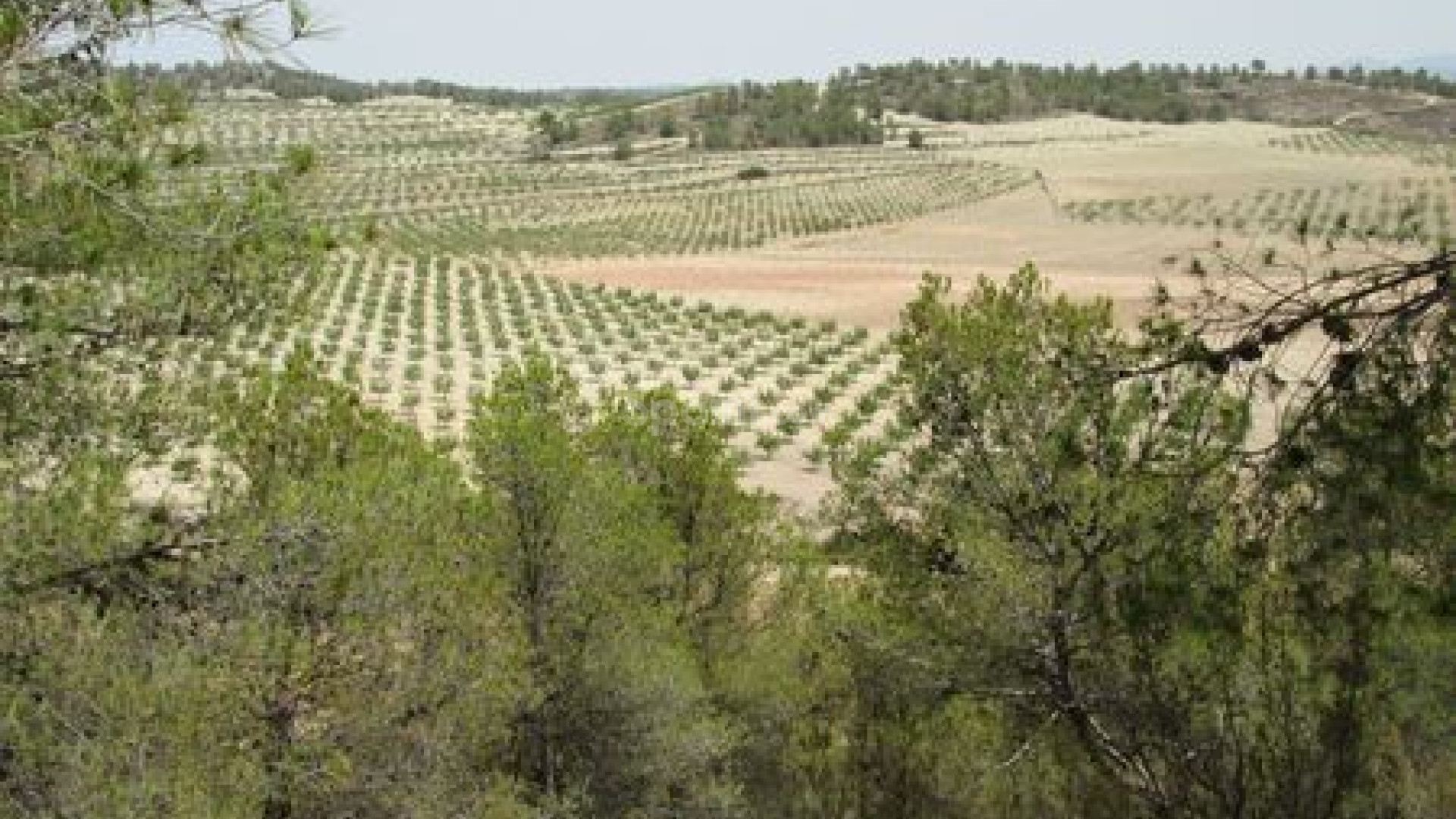 Resale - Handlung -
Murcia
