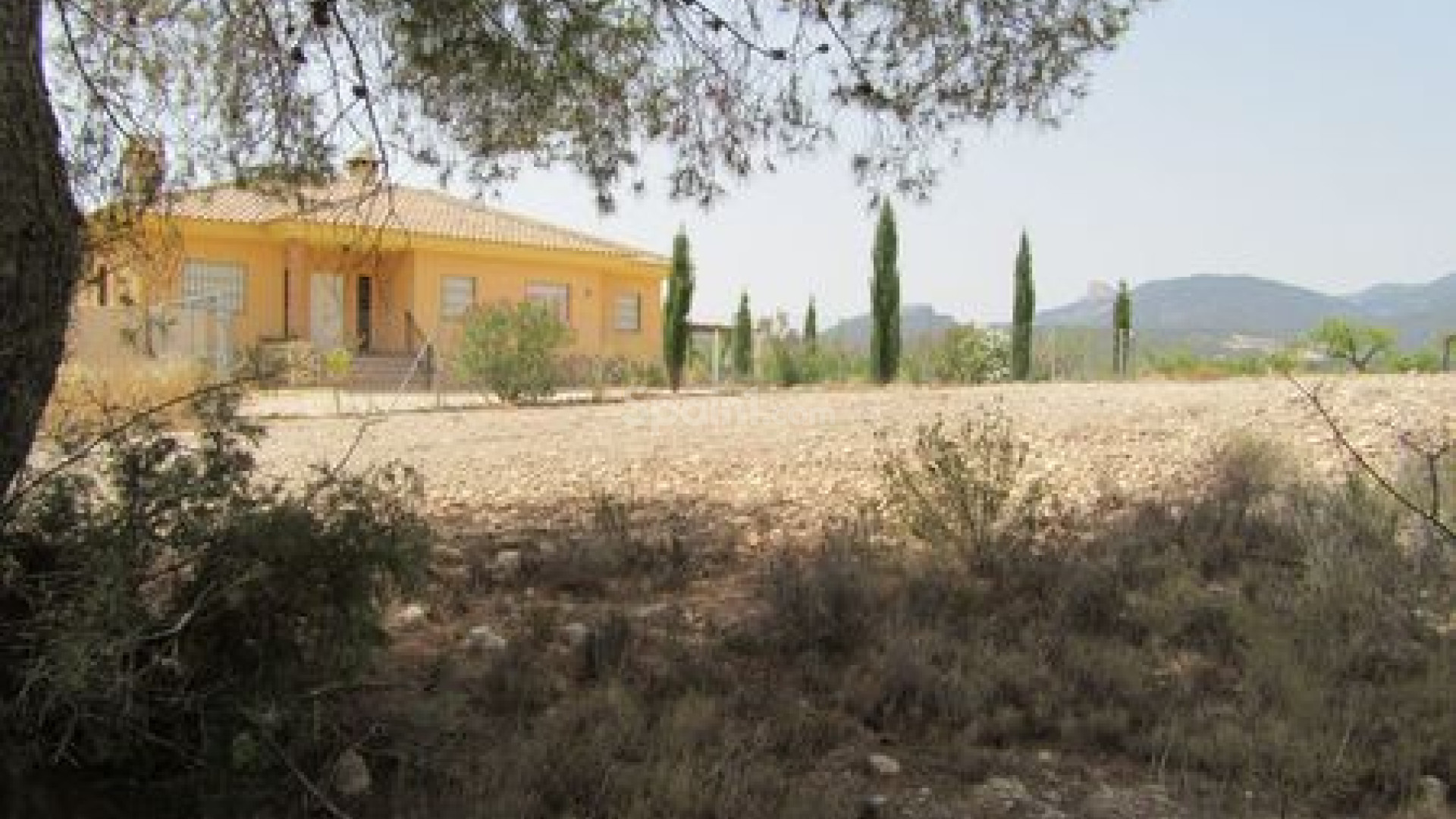 Resale - Handlung -
Murcia