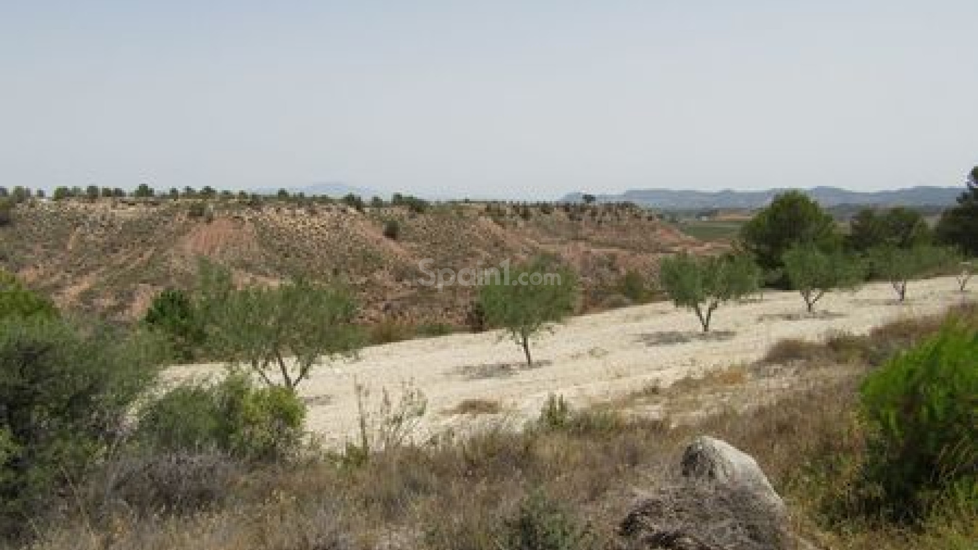 Resale - Handlung -
Murcia