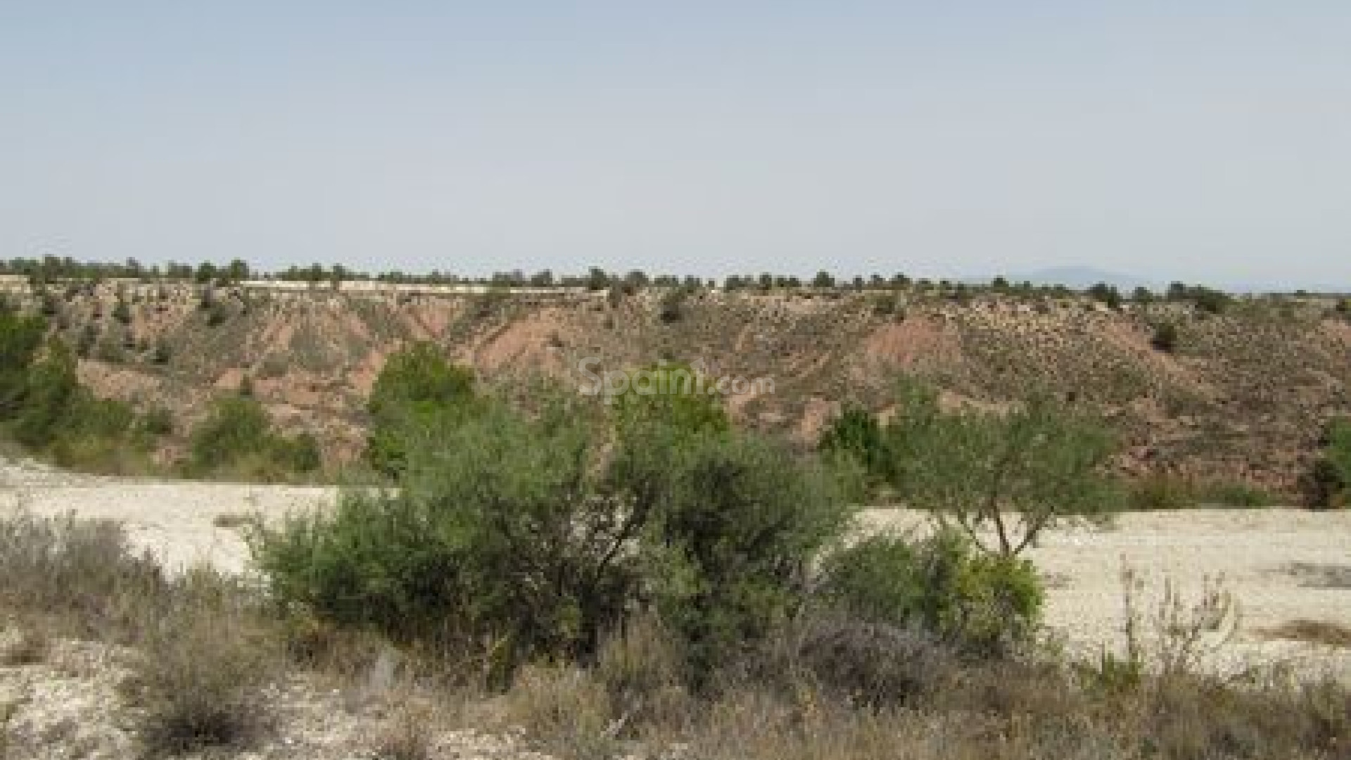 Resale - Handlung -
Murcia