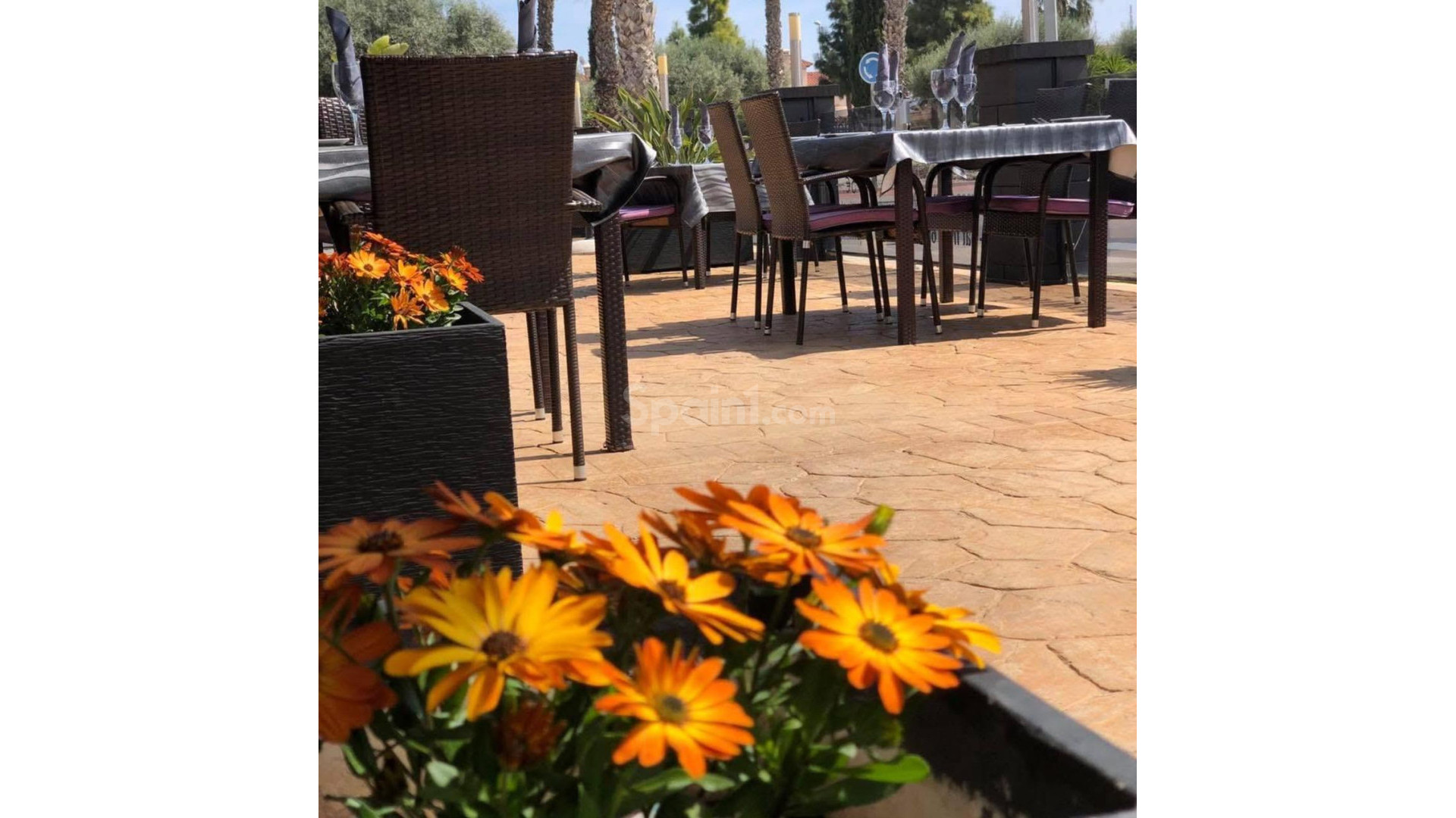 Resale - Kommerziell -
Guardamar - Guardamar del Segura