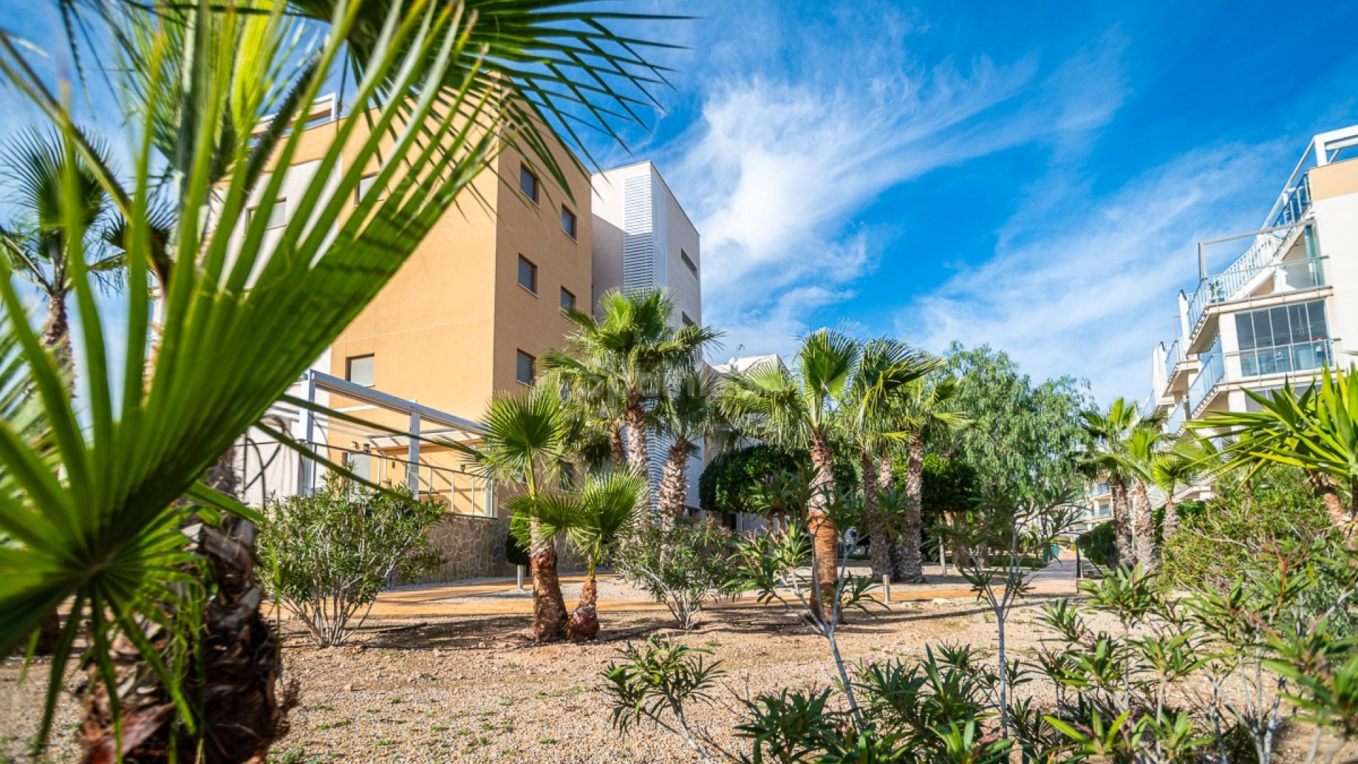 Resale - Lägenhet -
ORIHUELA COSTA - Los Dolses