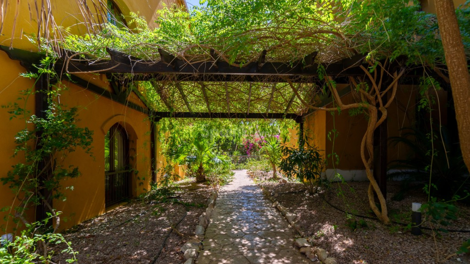 Resale - Lägenhet -
Punta Prima