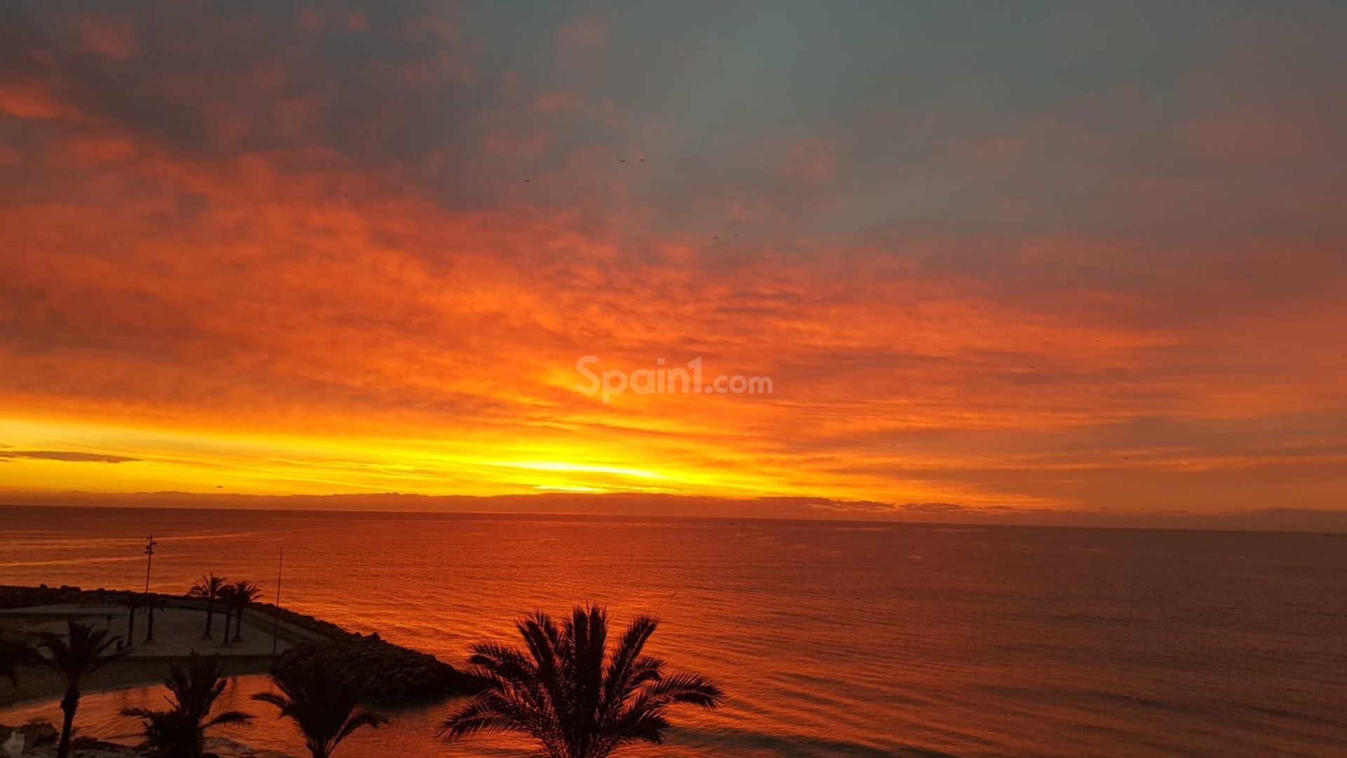 Resale - Lägenhet -
Torrevieja