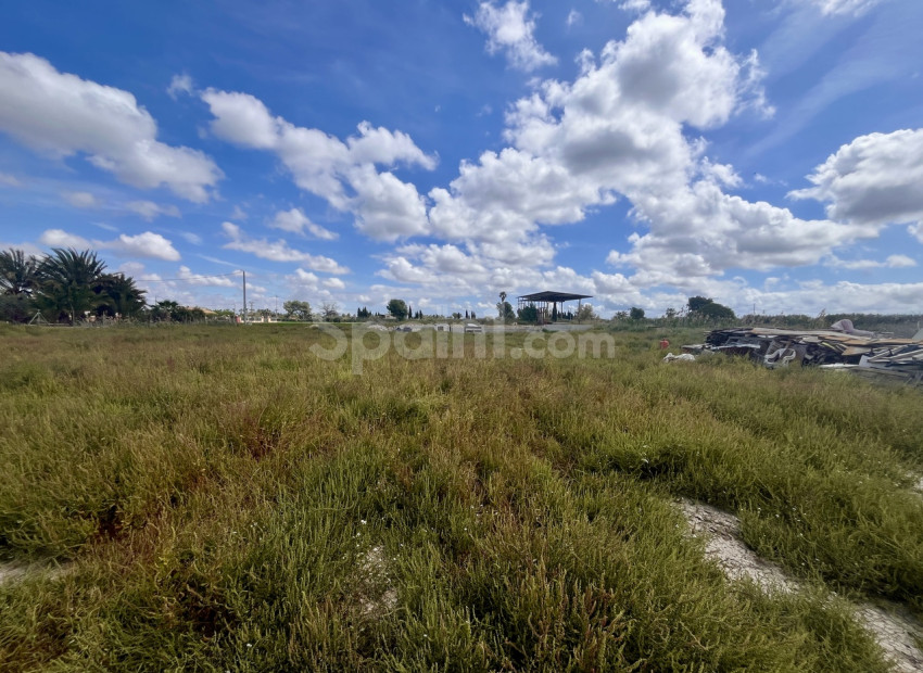 Resale - Plot -
Catral