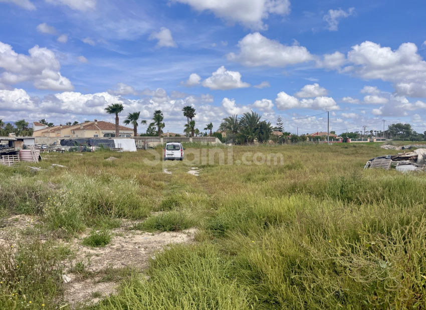 Resale - Plot -
Catral