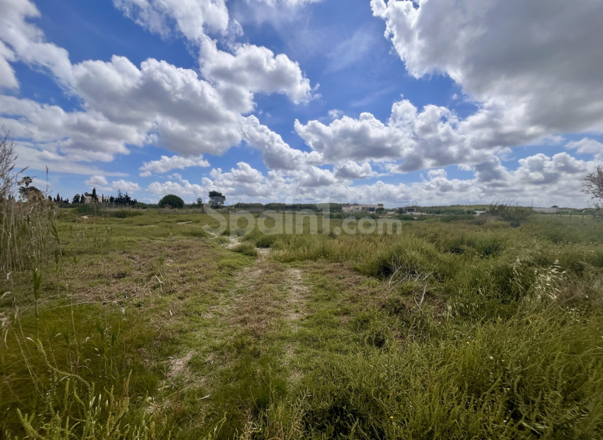 Resale - Plot -
Catral