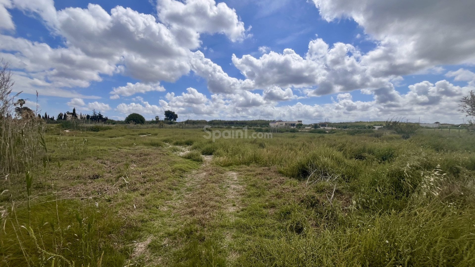 Resale - Plot -
Catral