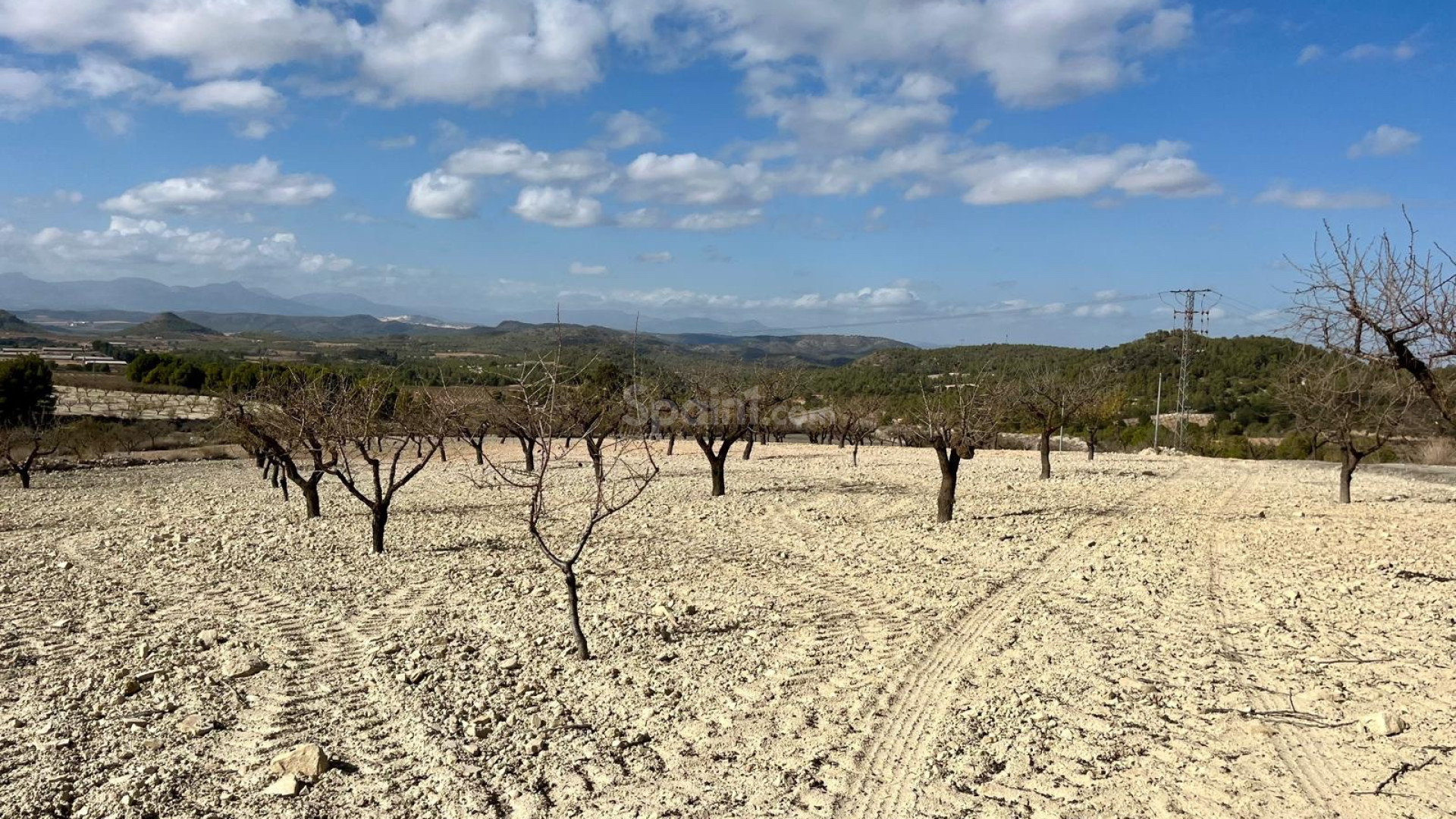 Resale - Plot / Land -
Bullas - Costa Calida