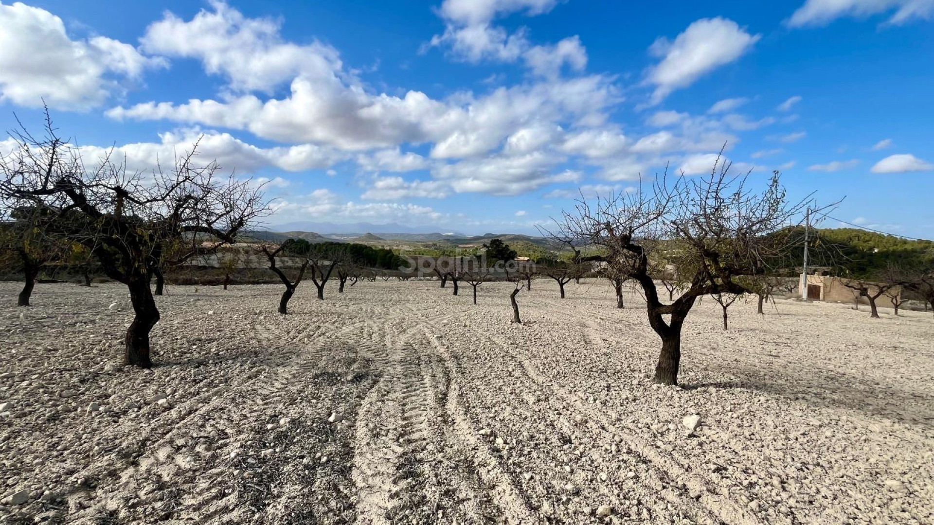 Resale - Plot / Land -
Bullas - Costa Calida