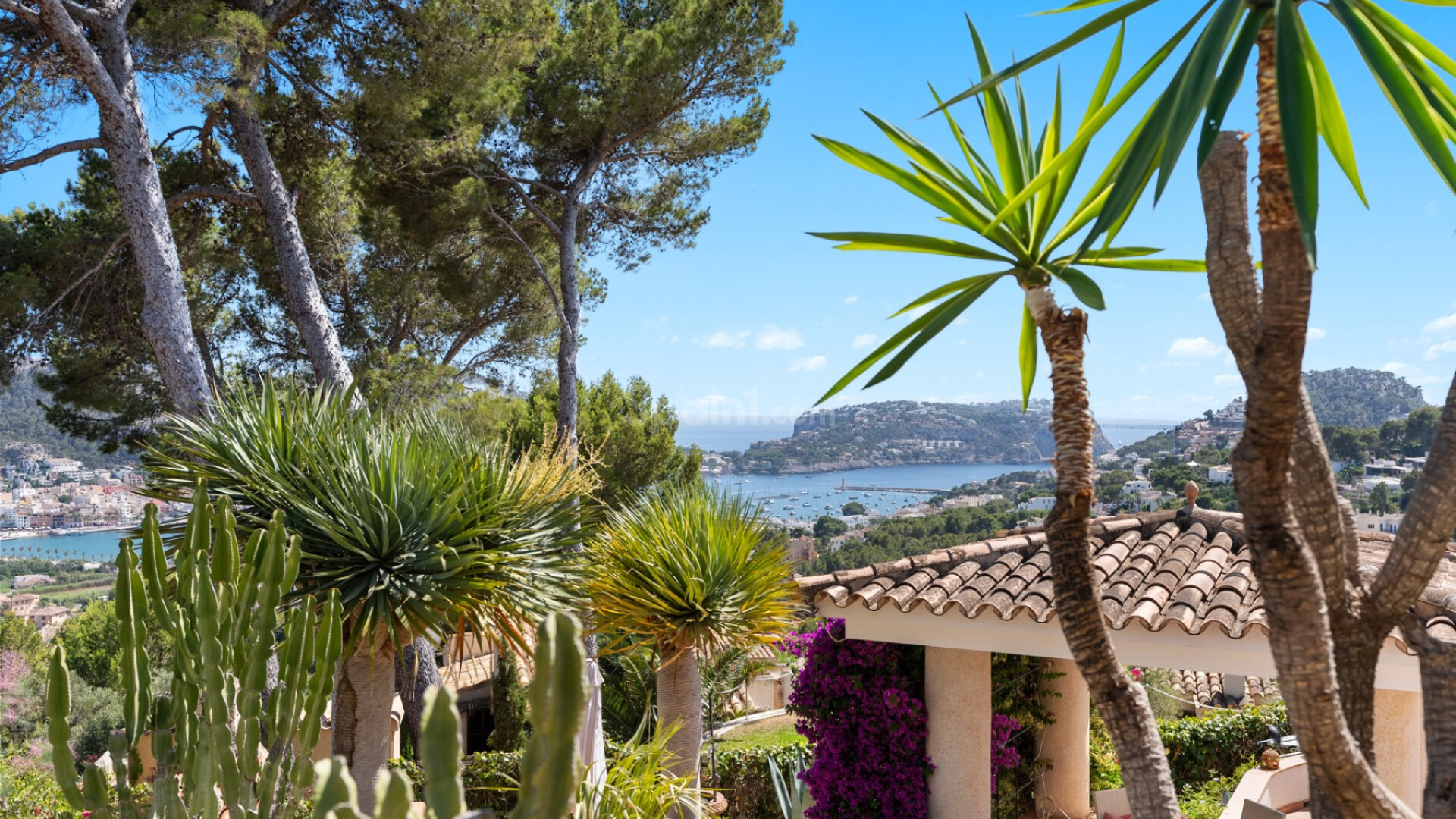 Resale -  -
Port d'Andratx - Andratx