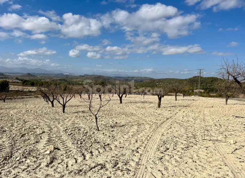 Resale - Tomt / Mark -
Bullas - Costa Calida
