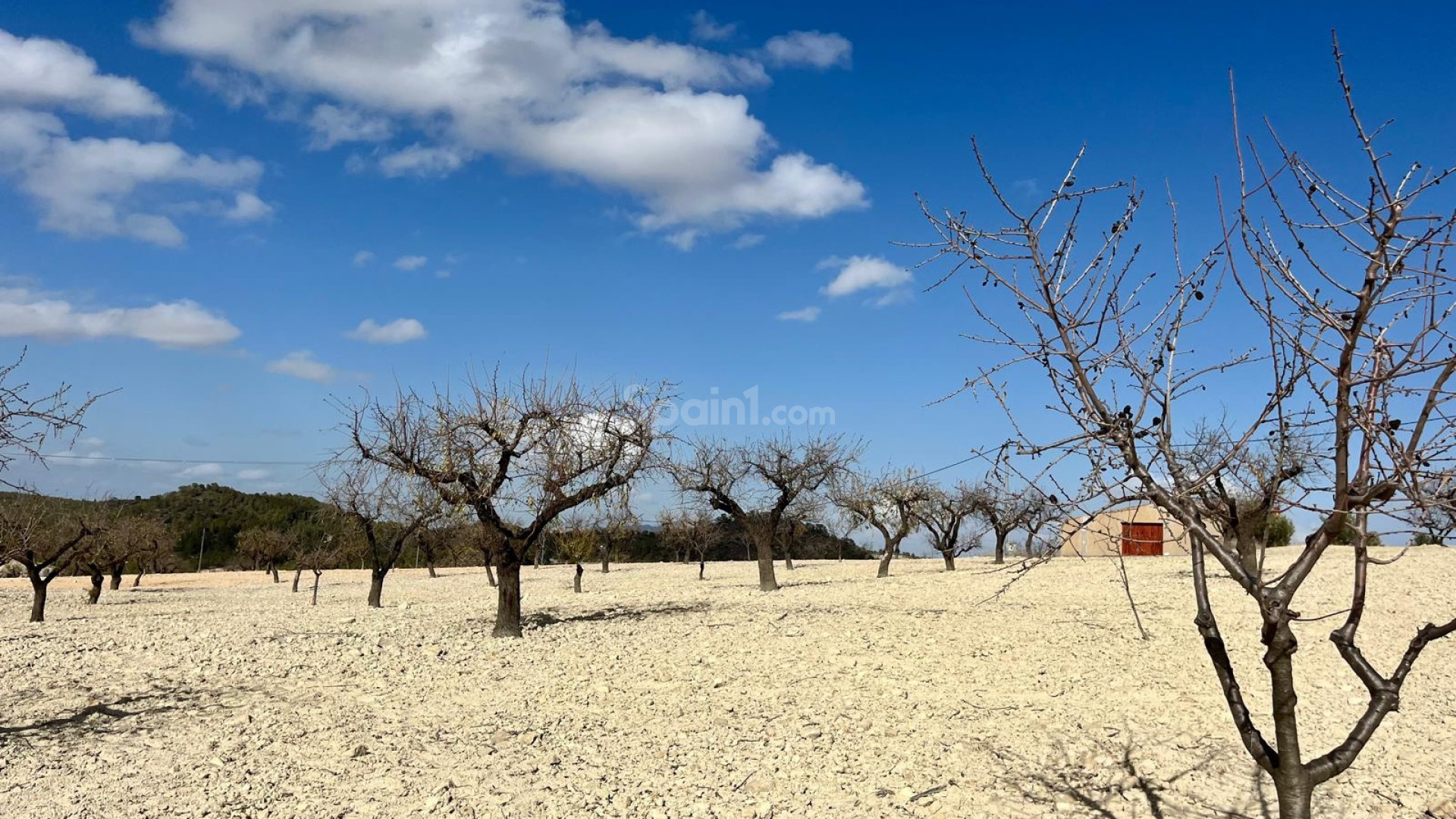 Resale - Tomt / Mark -
Bullas - Costa Calida