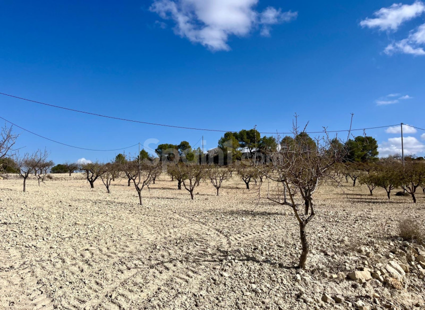 Resale - Tomt / Mark -
Bullas - Costa Calida