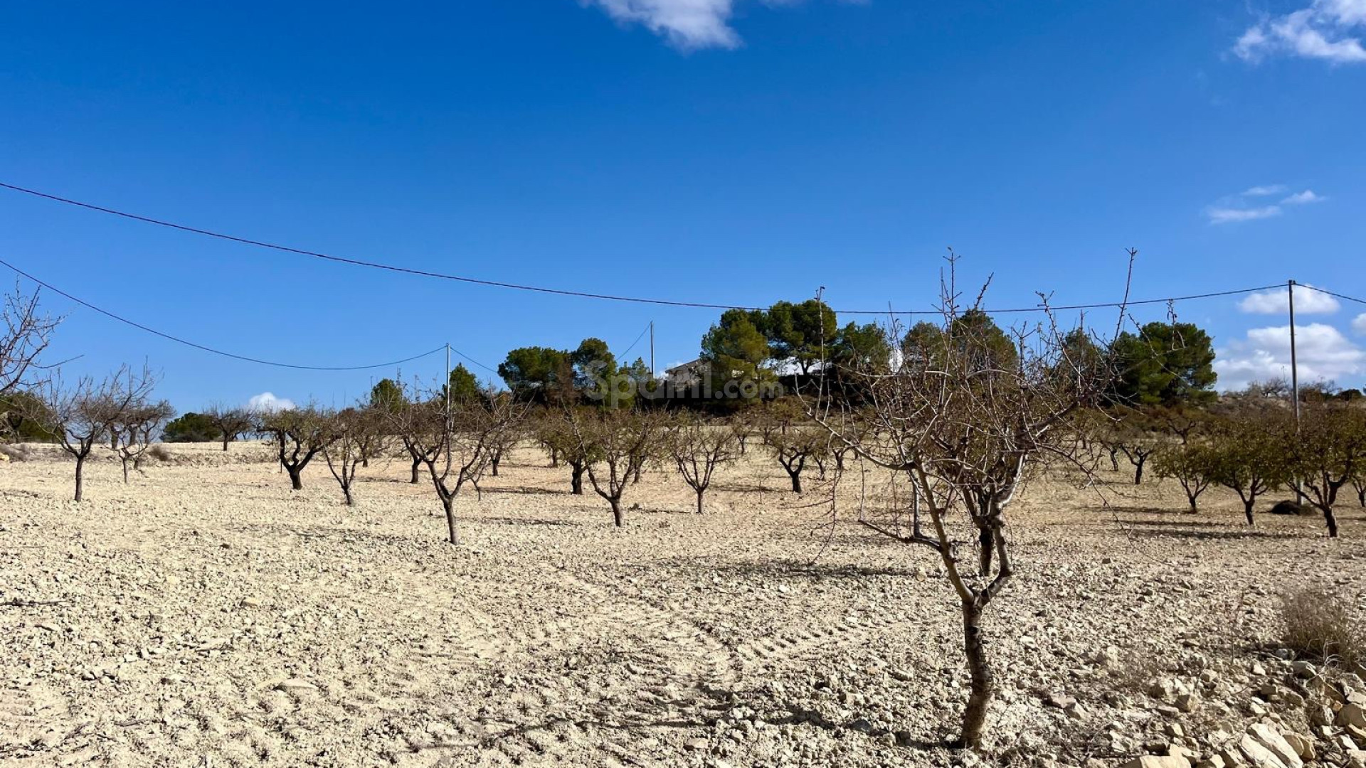 Resale - Tomt / Mark -
Bullas - Costa Calida