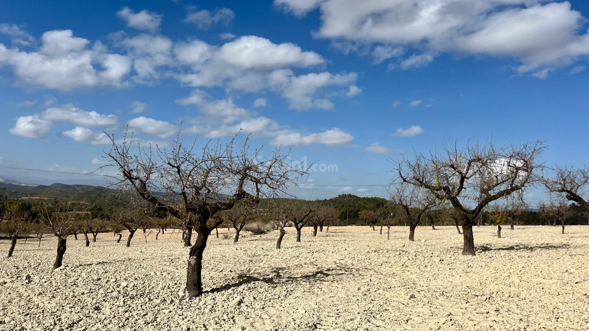 Resale - Tomt / Mark -
Bullas - Costa Calida