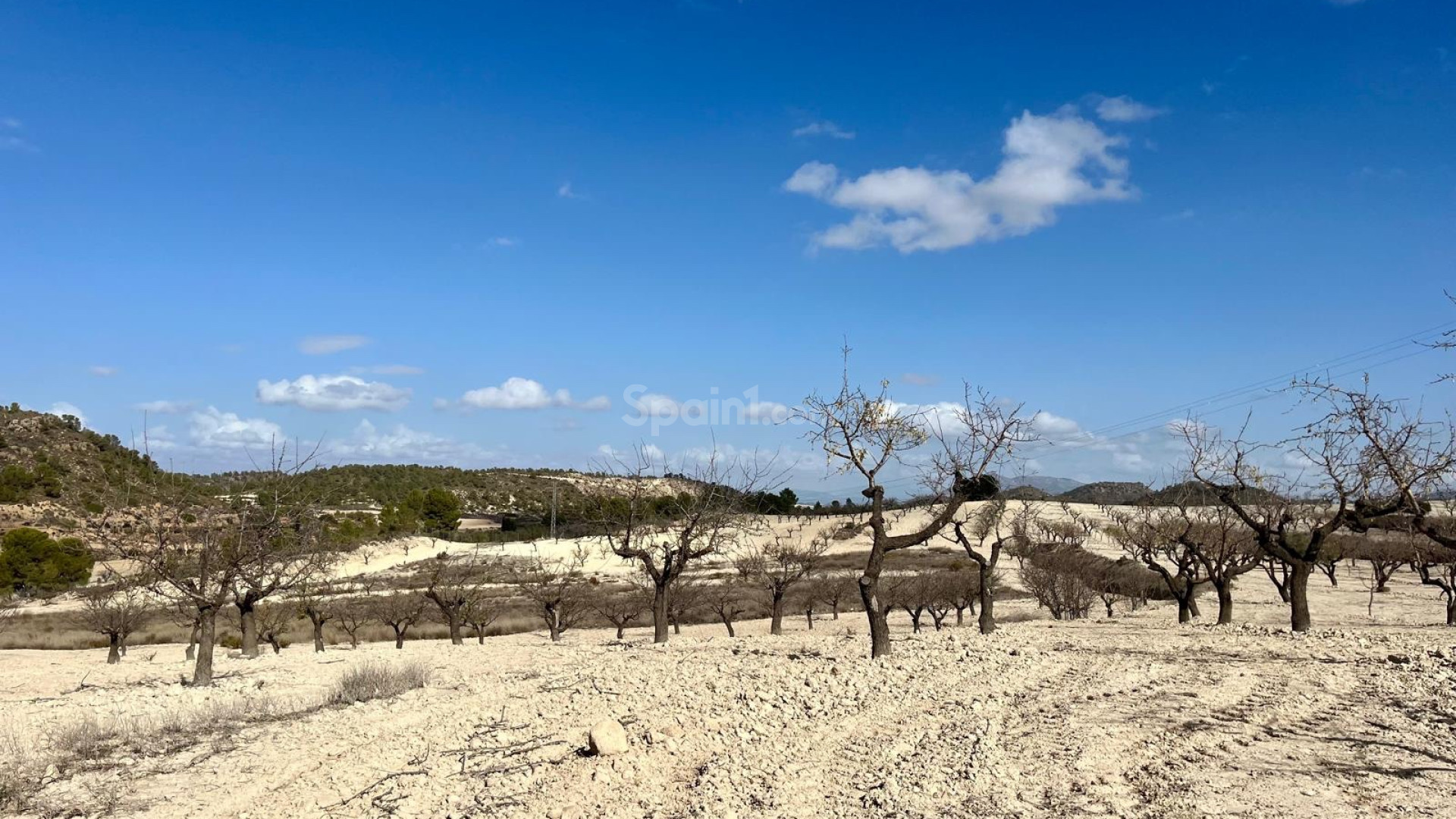 Resale - Tomt / Mark -
Bullas - Costa Calida