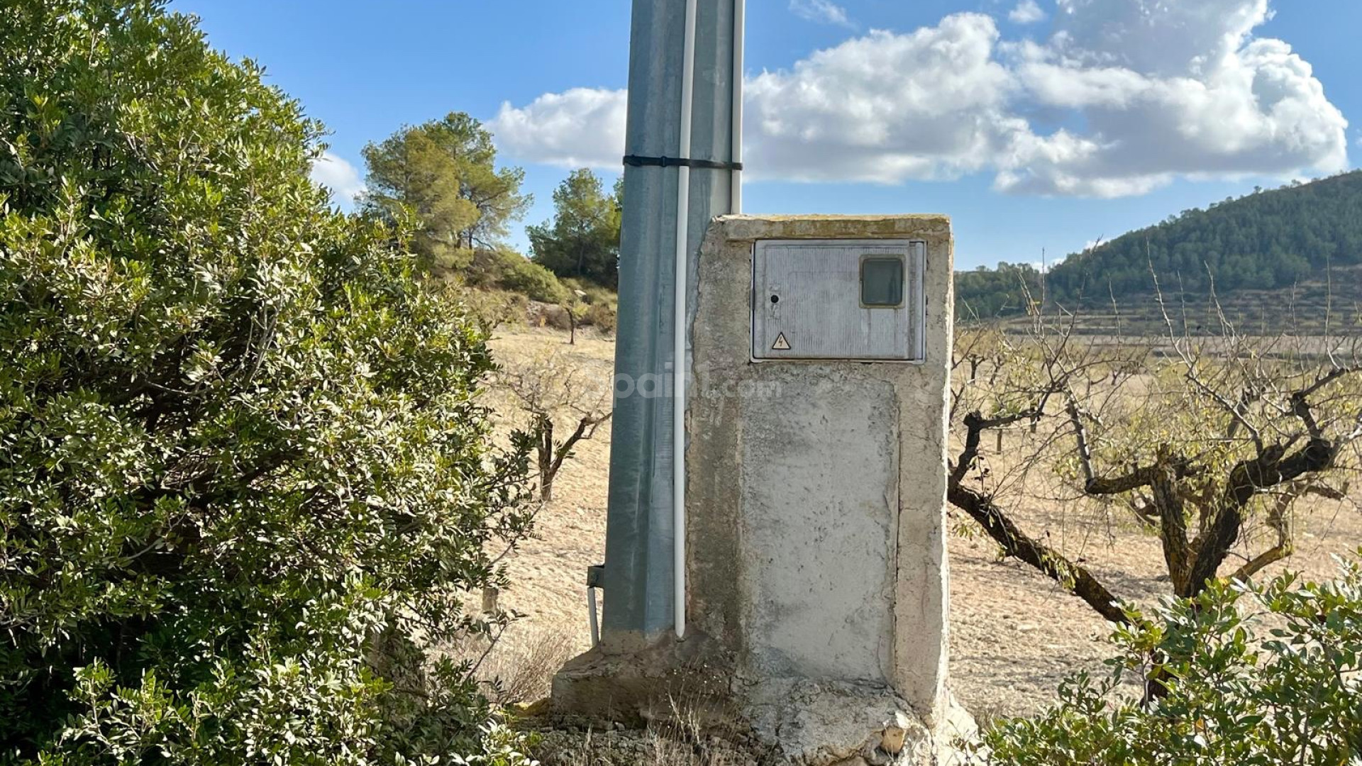 Resale - Tomt / Mark -
Bullas - Costa Calida