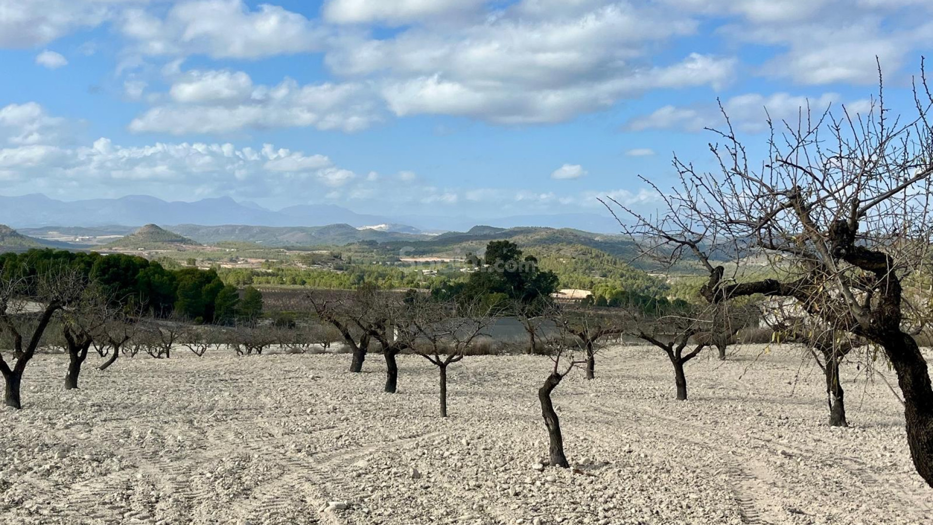 Resale - Tomt / Mark -
Bullas - Costa Calida