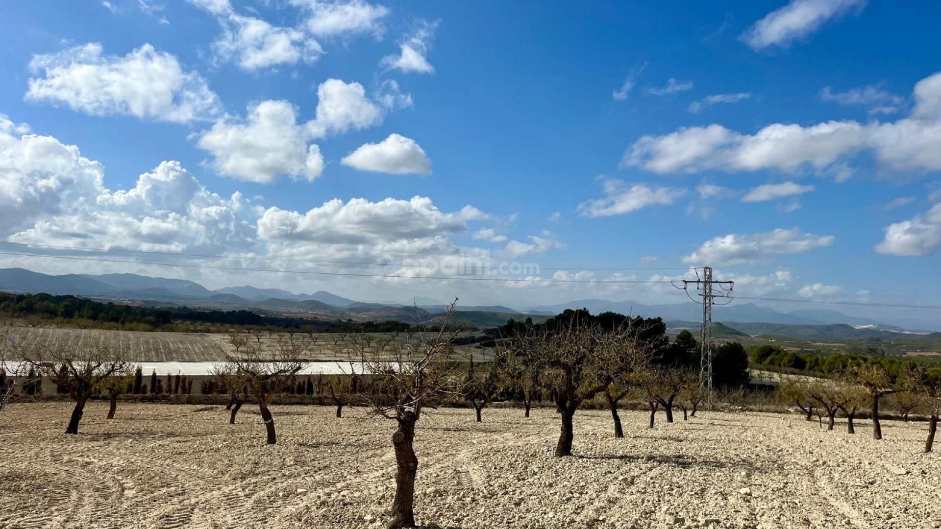 Resale - Tomt / Mark -
Bullas - Costa Calida