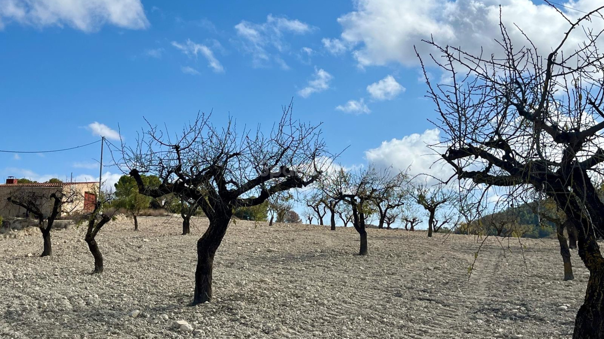Resale - Tomt / Mark -
Bullas - Costa Calida