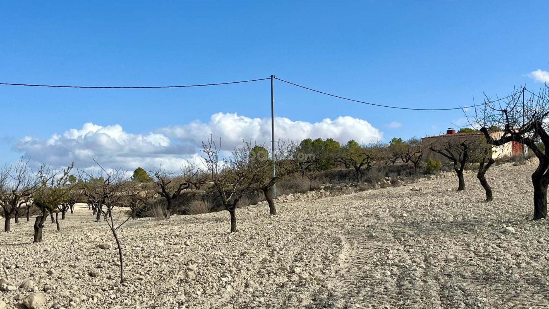 Resale - Tomt / Mark -
Bullas - Costa Calida
