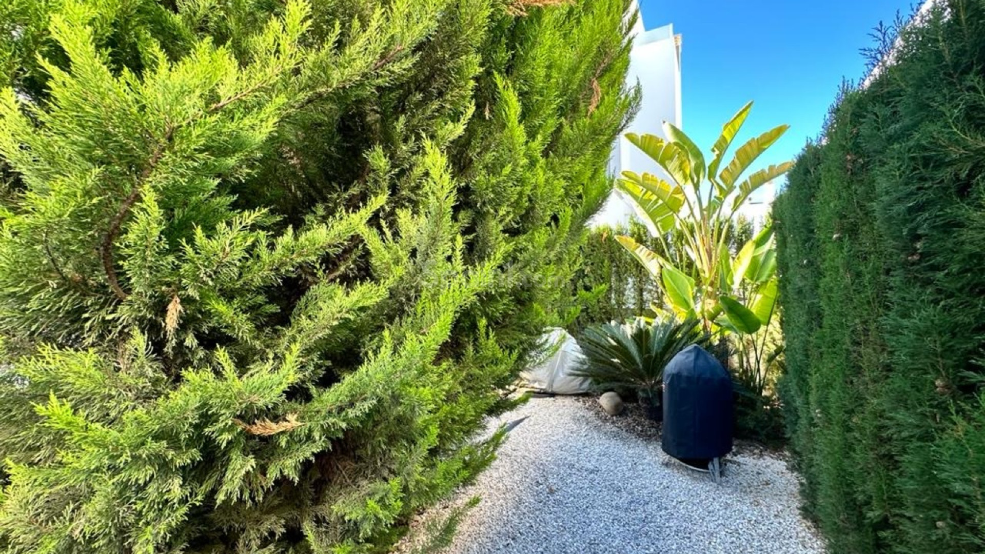 Resale - Villa -
Ciudad Quesada - Cuidad Quesada