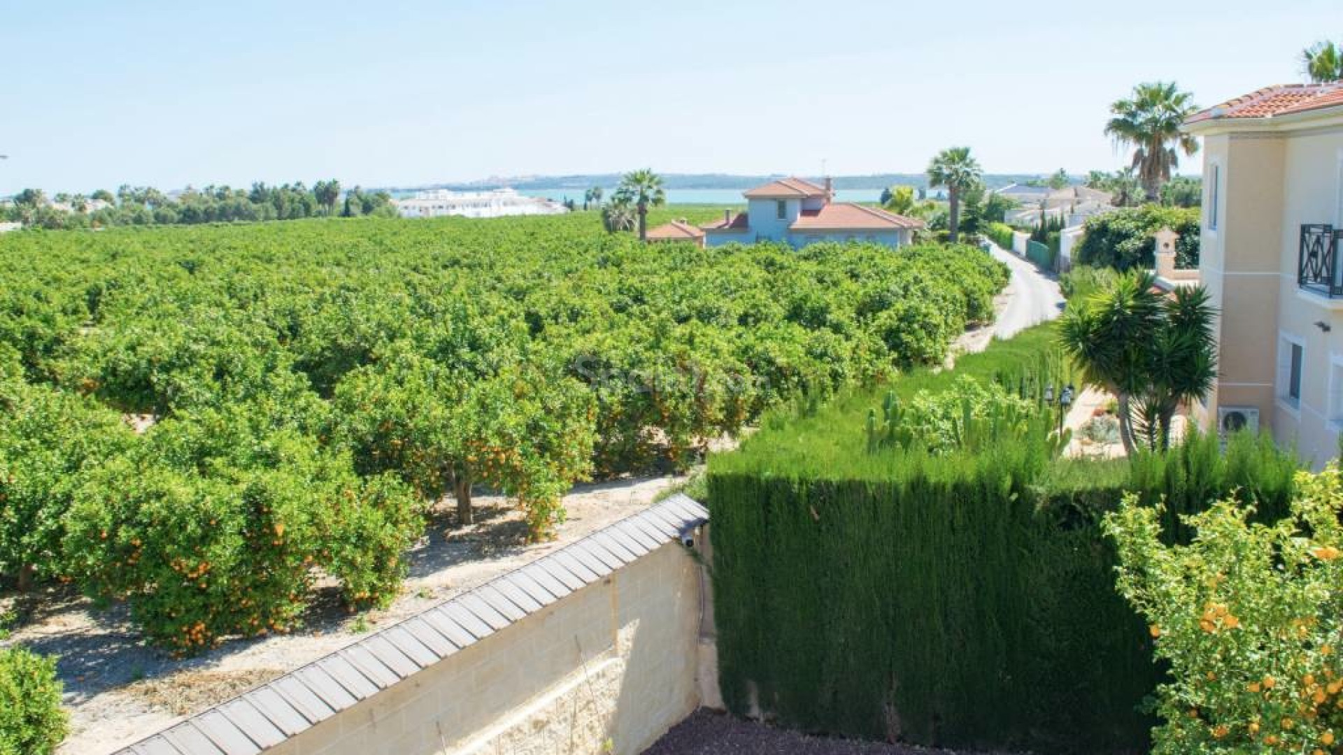 Resale - Villa -
Ciudad Quesada - Cuidad Quesada