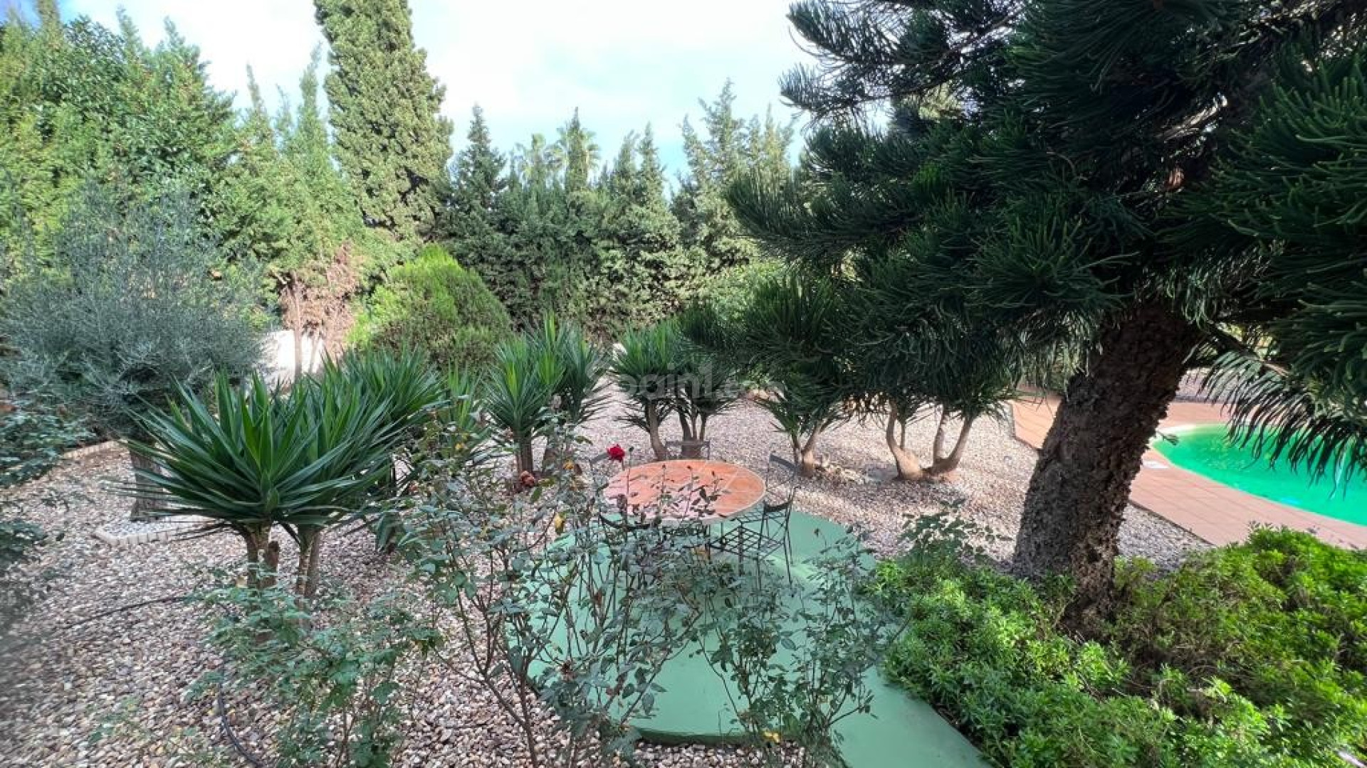 Resale - Villa -
Ciudad Quesada - Cuidad Quesada