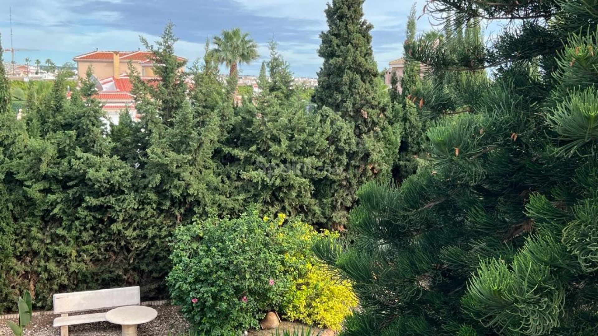 Resale - Villa -
Ciudad Quesada - Cuidad Quesada