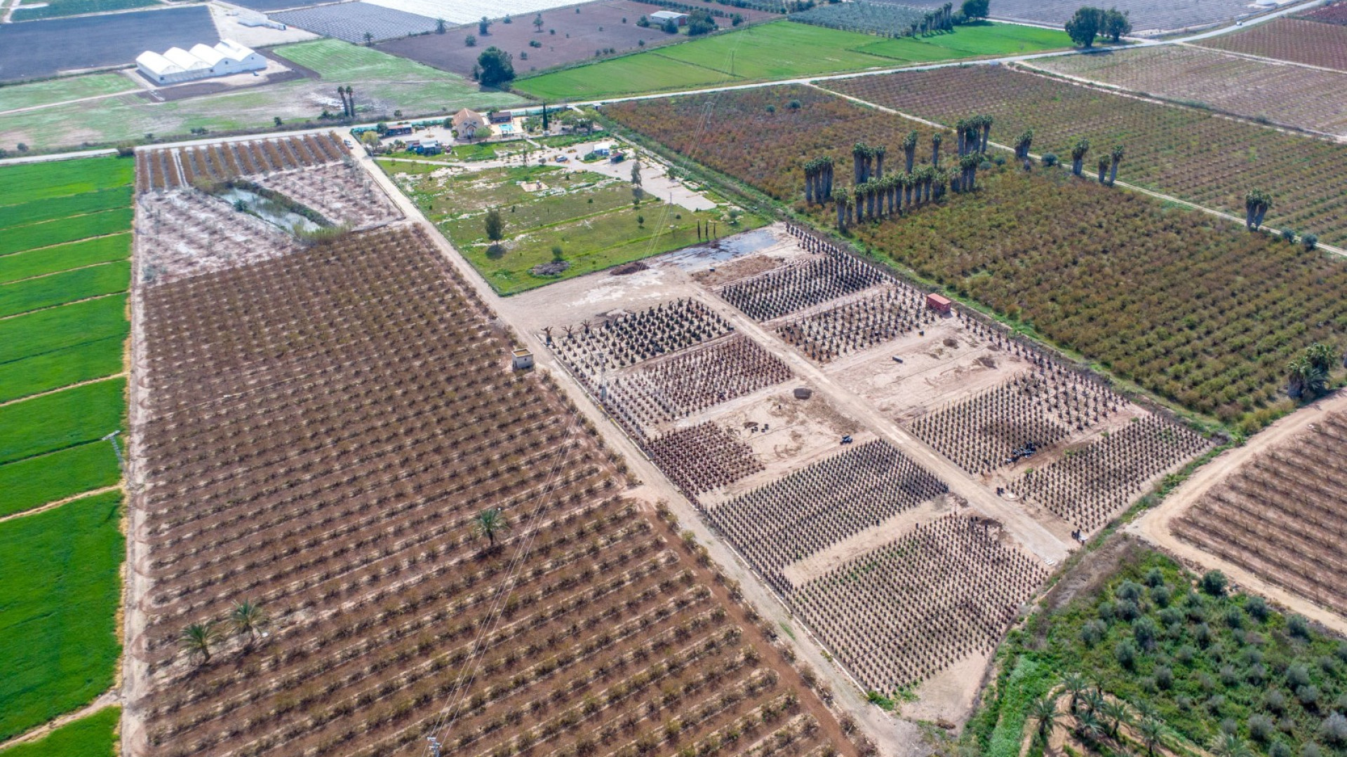 Resale - Villa -
Crevillente