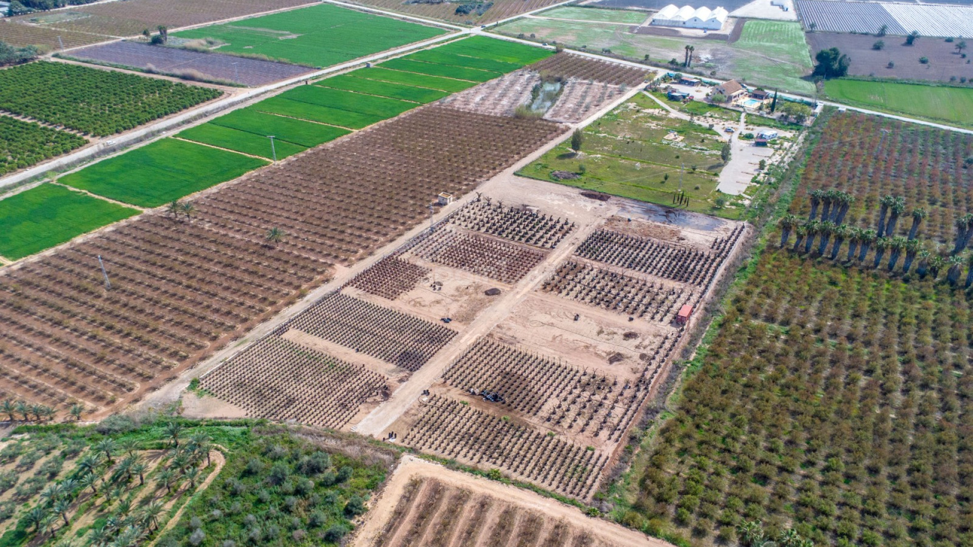 Resale - Villa -
Crevillente