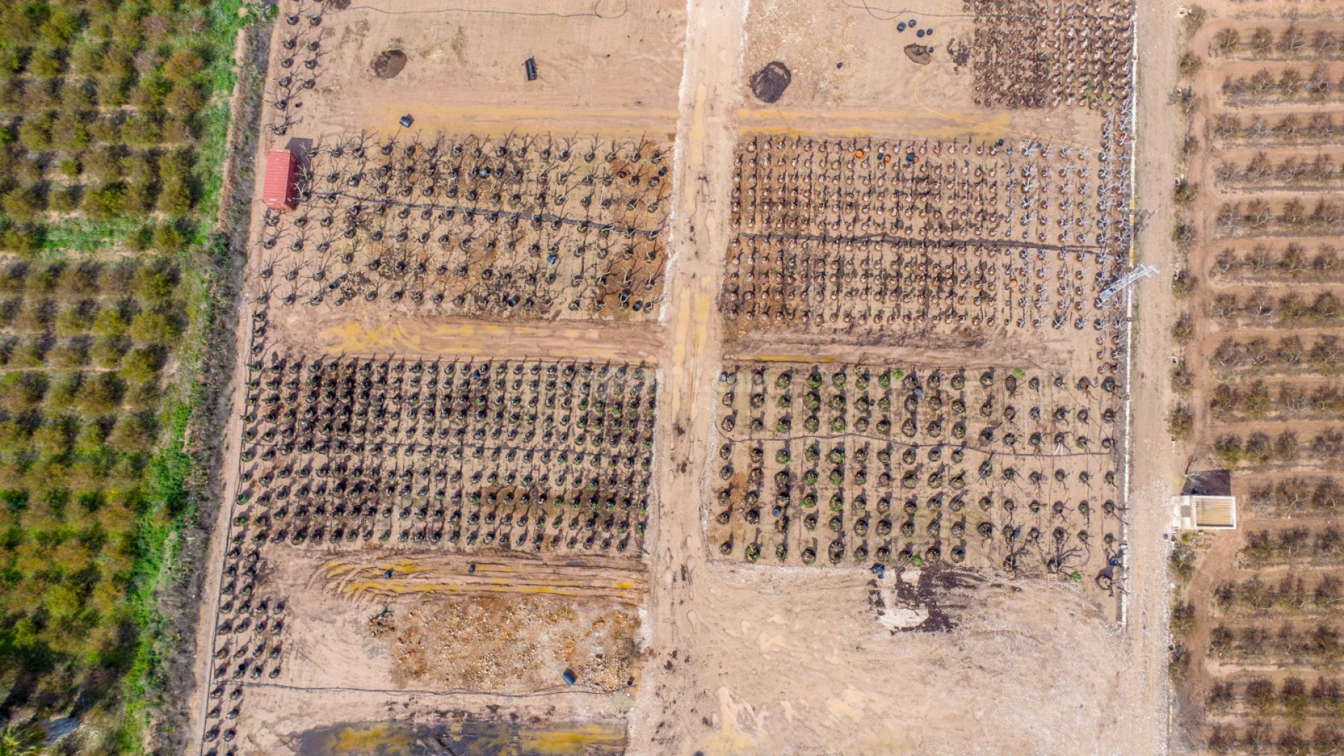 Resale - Villa -
Crevillente