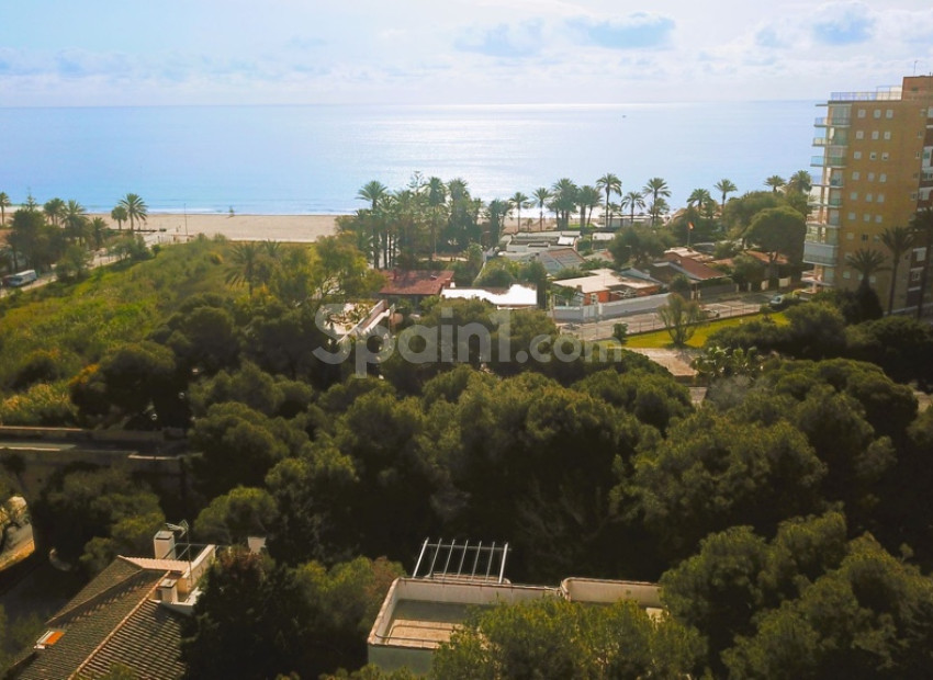 Resale - Villa -
Dehesa de Campoamor - Campoamor