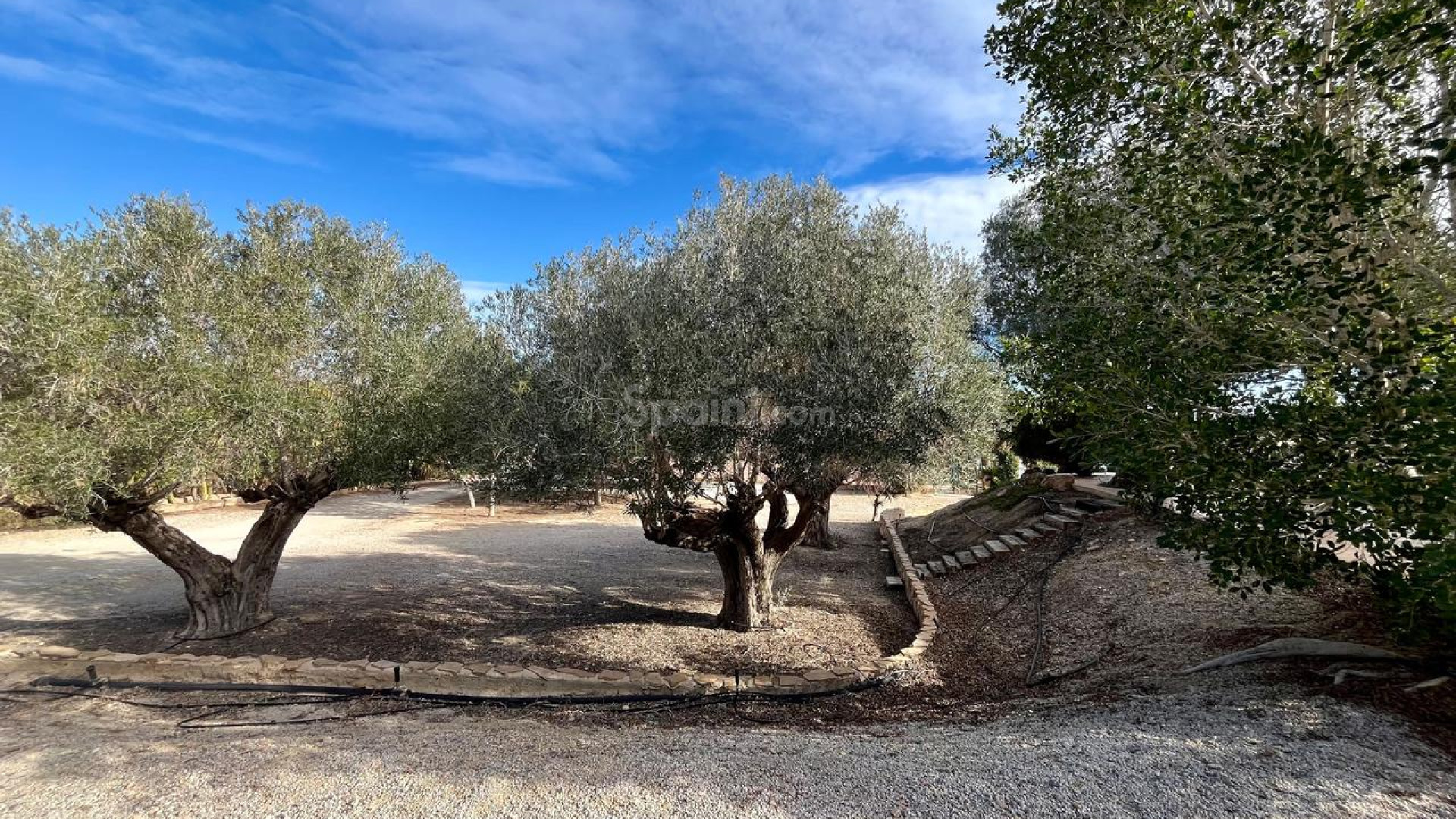 Resale - Villa -
El Esparragal