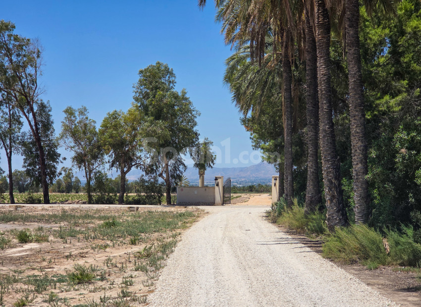 Resale - Villa -
Elche