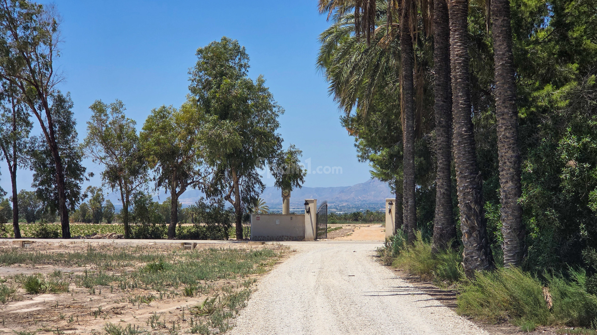 Resale - Villa -
Elche