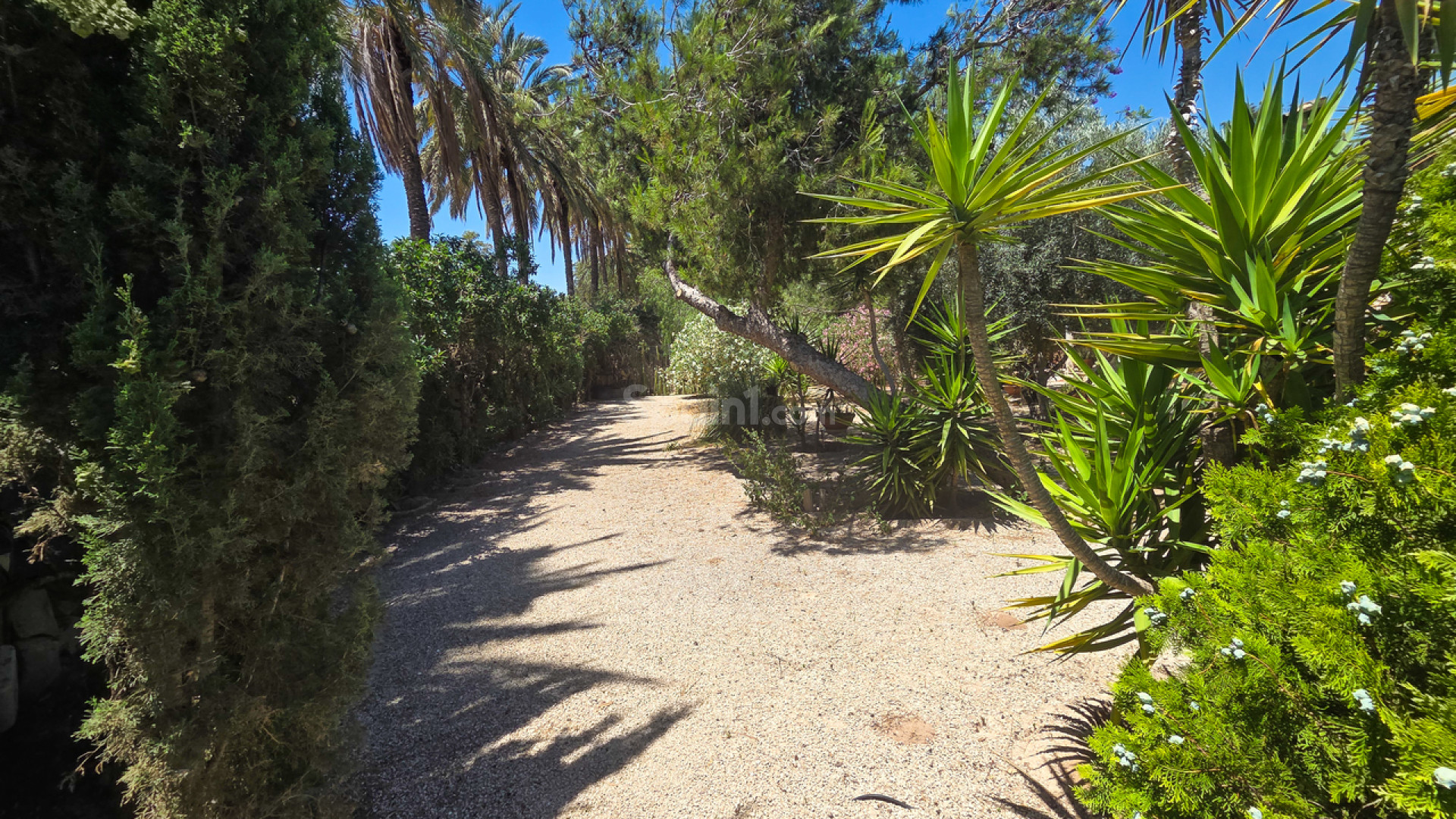 Resale - Villa -
Elche